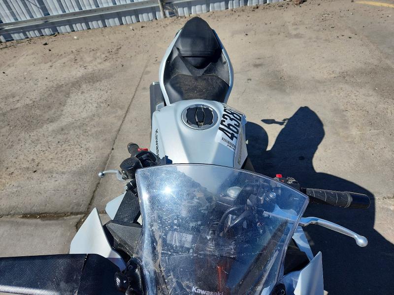 2024 Kawasaki EX500