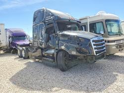 Salvage trucks for sale at Casper, WY auction: 2023 Freigliner 2023 Freightliner Cascadia 126 Semi Truck