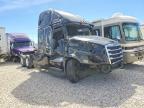 2023 Freigliner 2023 Freightliner Cascadia 126 Semi Truck