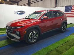 2025 Hyundai Tucson sel for sale in Jacksonville, FL