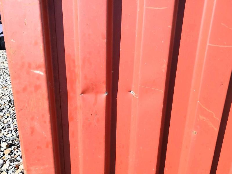 2021 Shipping Contai Trailers