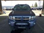 2008 Ford Escape hev