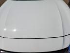 2025 Niss Altima