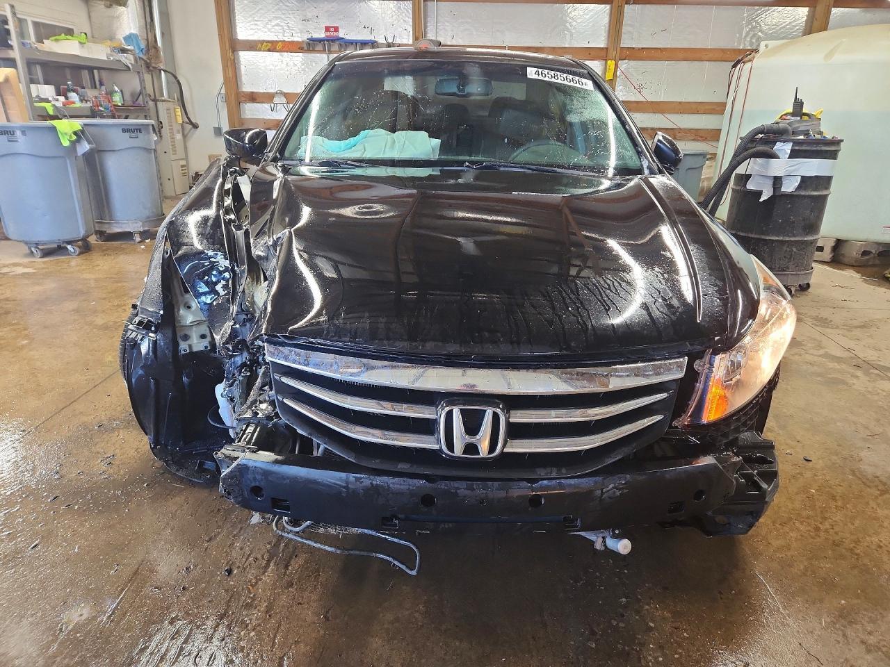 2011 Honda Accord exl