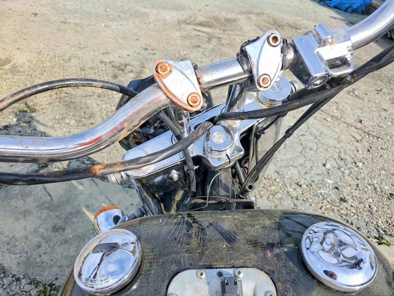 2002 Harley-Davidson Flstfi