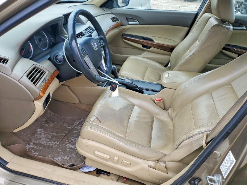 2010 Honda Accord exl