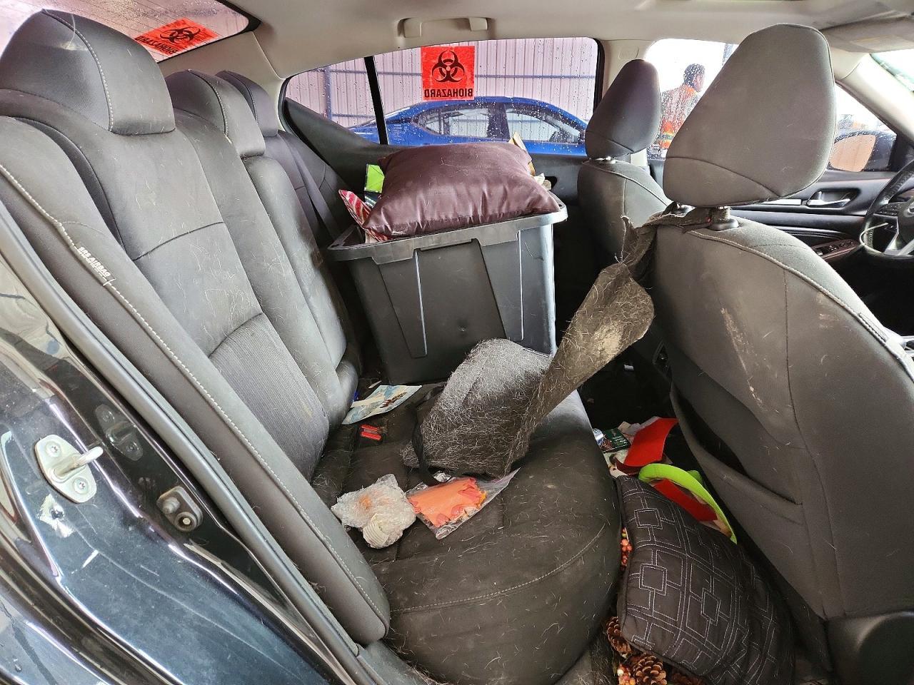 2019 Niss Altima 2.5