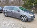 2013 Honda Odyssey exl