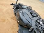 2025 Kawasaki ZX1002 L