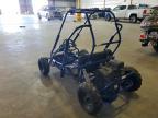 2022 Unknown 2022 Dune Buggy