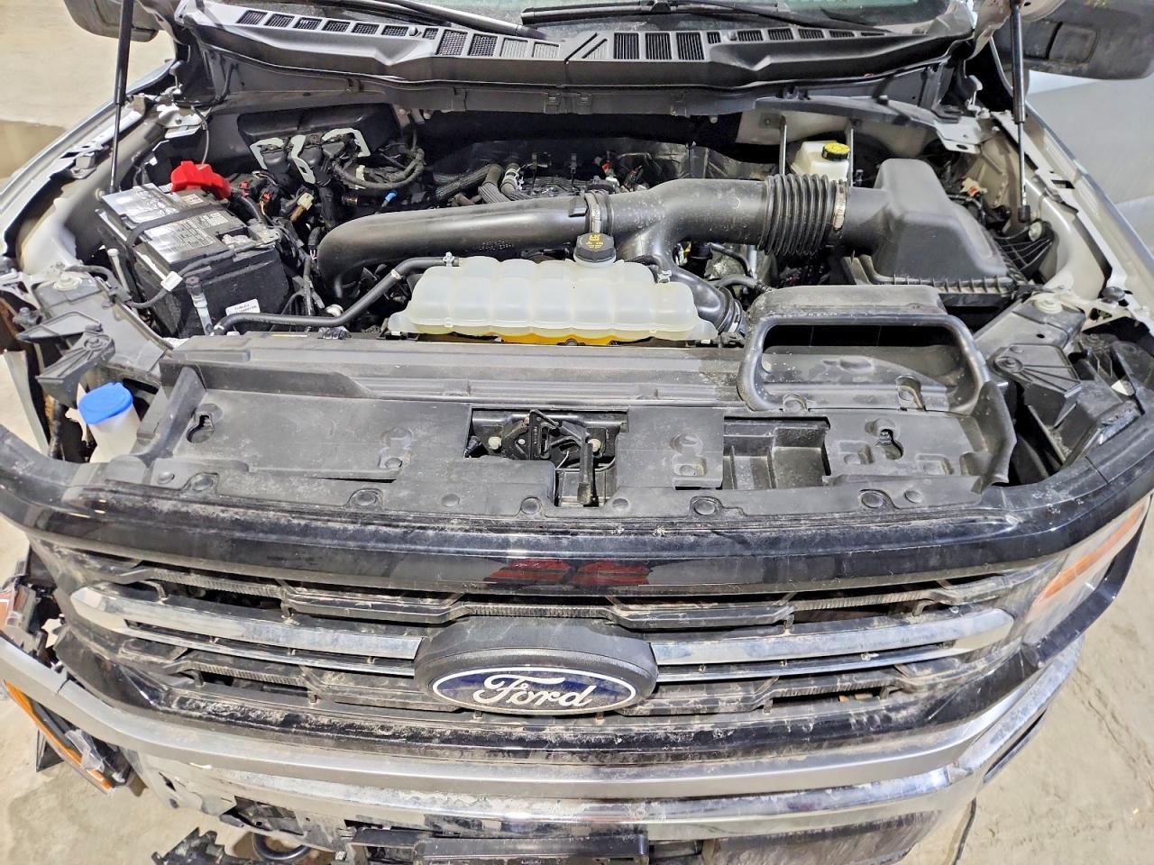 2025 Ford F150 XLT