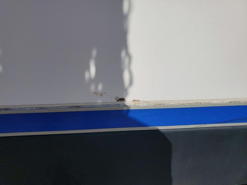 2021 Ford Transit Delivery Van