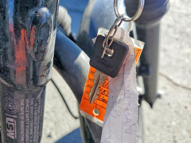 2021 Harley-Davidson XL1200 NS