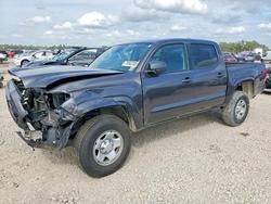 Salvage trucks for sale at Houston, TX auction: 2023 Toyota Tacoma Double Cab