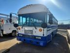 2013 Blubird School Bus / Transit Bus