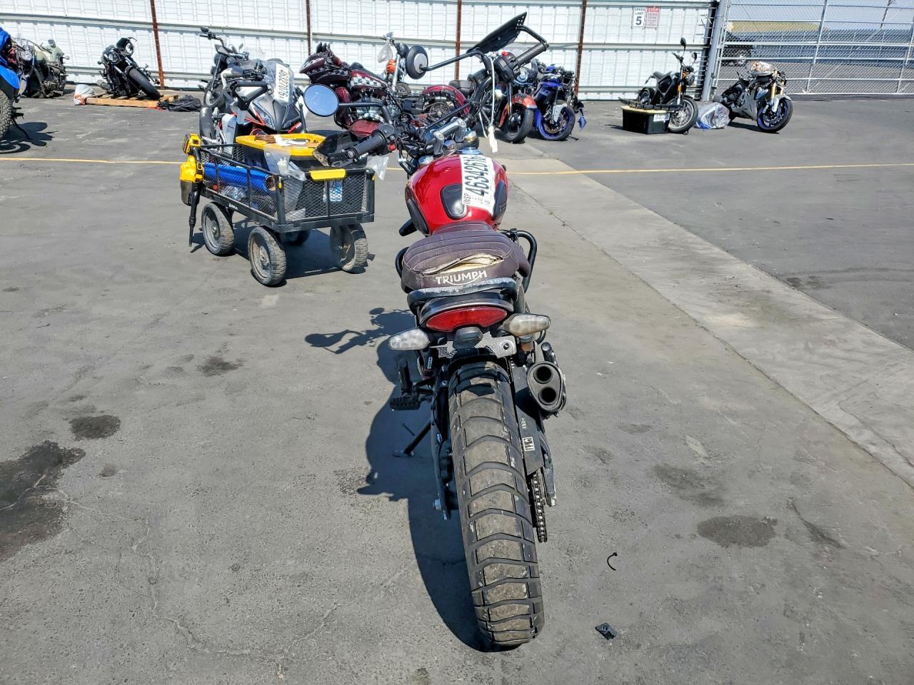 2024 Triumph Scrambler 400 X