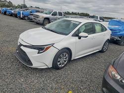2023 Toyota Corolla Hybrid le for sale in Thonotosassa, FL