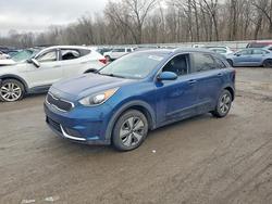 KIA salvage cars for sale: 2019 KIA Niro lx