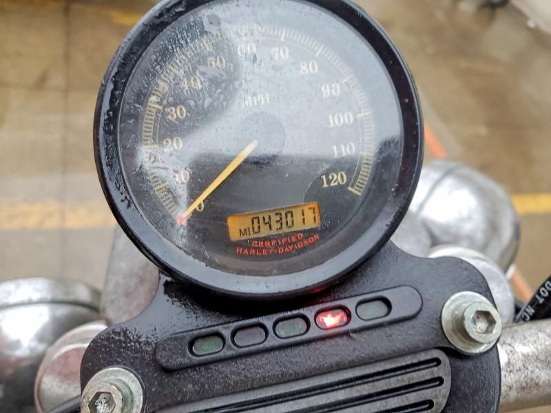 2005 Harley-Davidson XL883 L