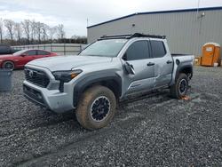 Toyota Tacoma salvage cars for sale: 2024 Toyota Tacoma TRD OFF-Road