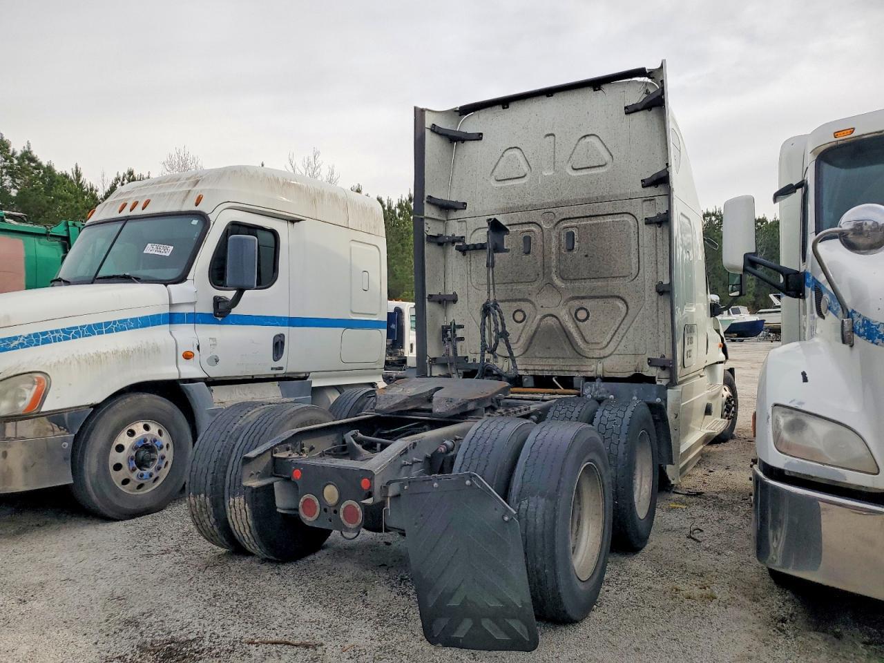 2019 Freightliner Cascadia 125 Semi Truck