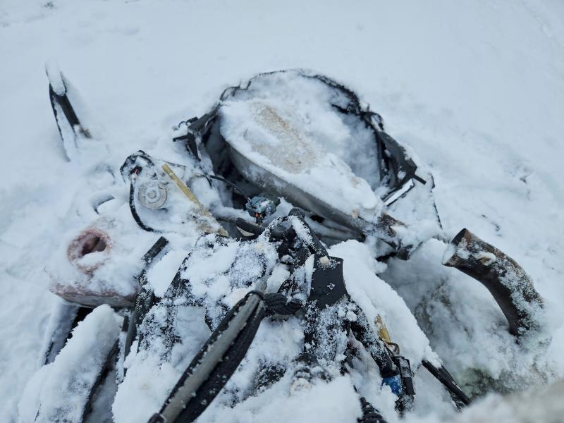2019 Skidoo Renegade Adrenaline