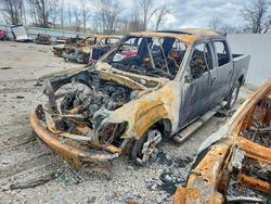 Salvage trucks for sale at Lexington, KY auction: 2010 Ford F150 Supercrew