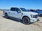 2025 Ford F150 Platinum