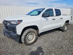 2023 Chev Colorado