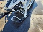 2013 Arctic Cat Arctic Cat