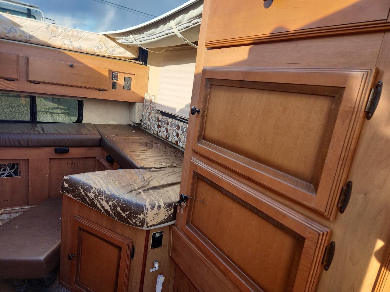 2014 Foresriver Palomino