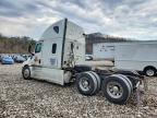 2019 Freigliner 2019 Freightliner Cascadia 126 Semi Truck