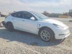 2023 Tesla Y
