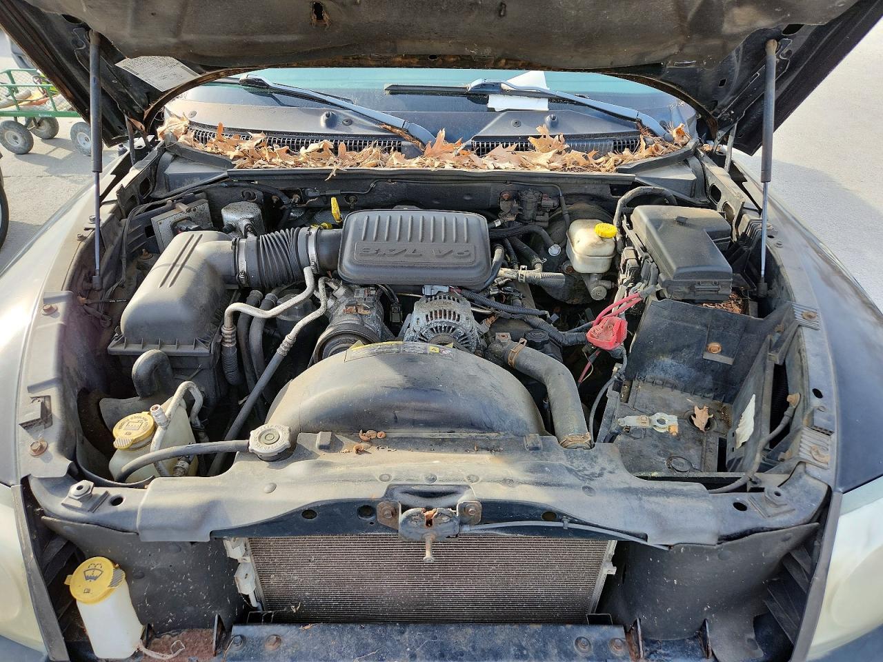 2005 Dodge Dakota Quattro