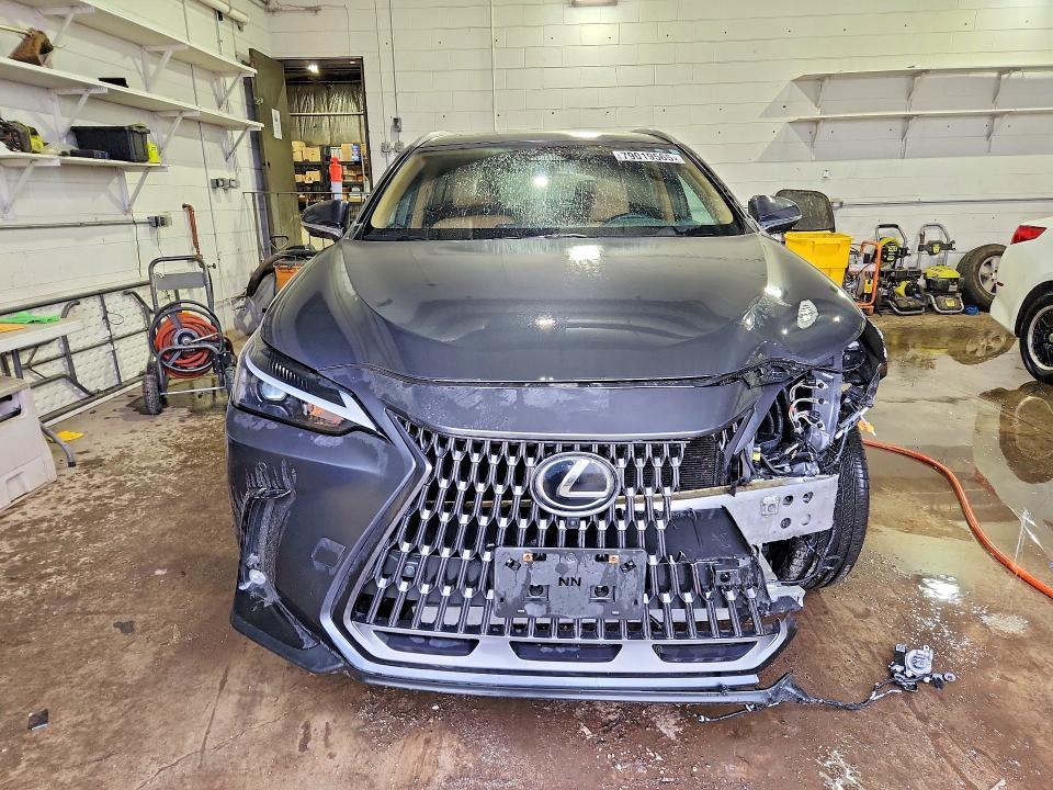 2025 Lexus Nx 350 Premium