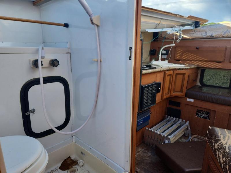 2014 Foresriver Palomino