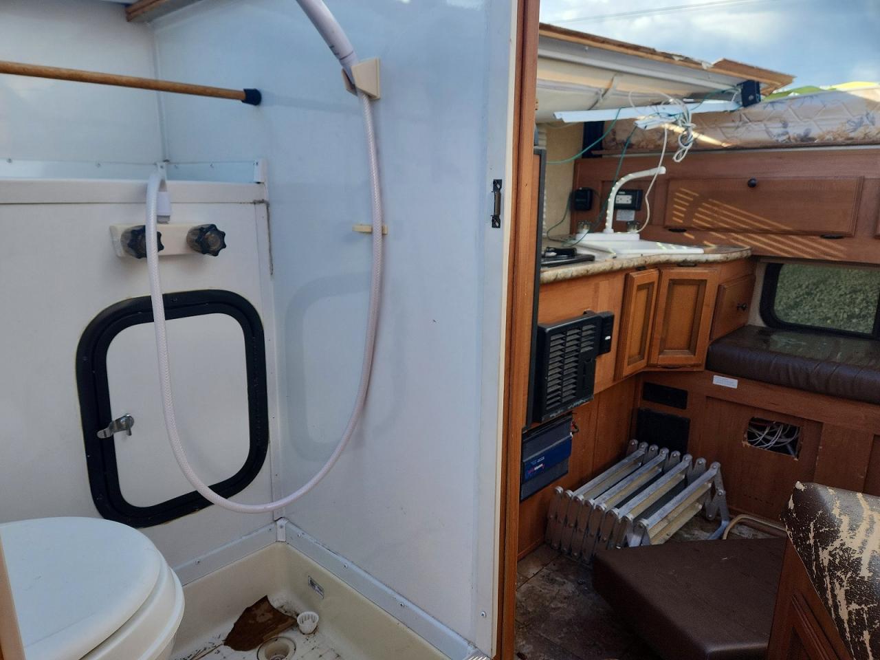 2014 Foresriver Palomino