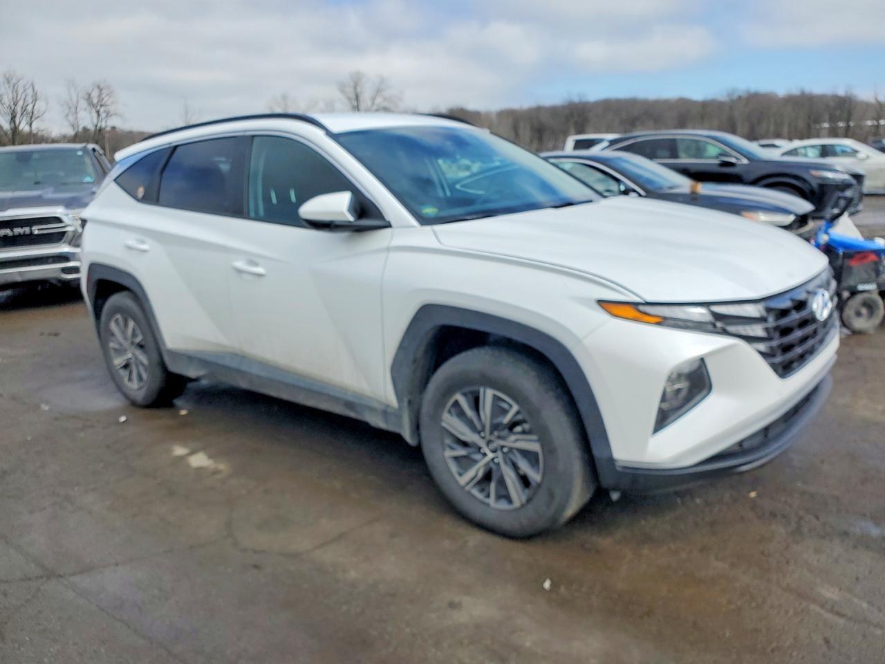 2024 Hyundai Tucson Hybrid Blue