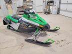 2007 Arctic Cat Arctic Cat