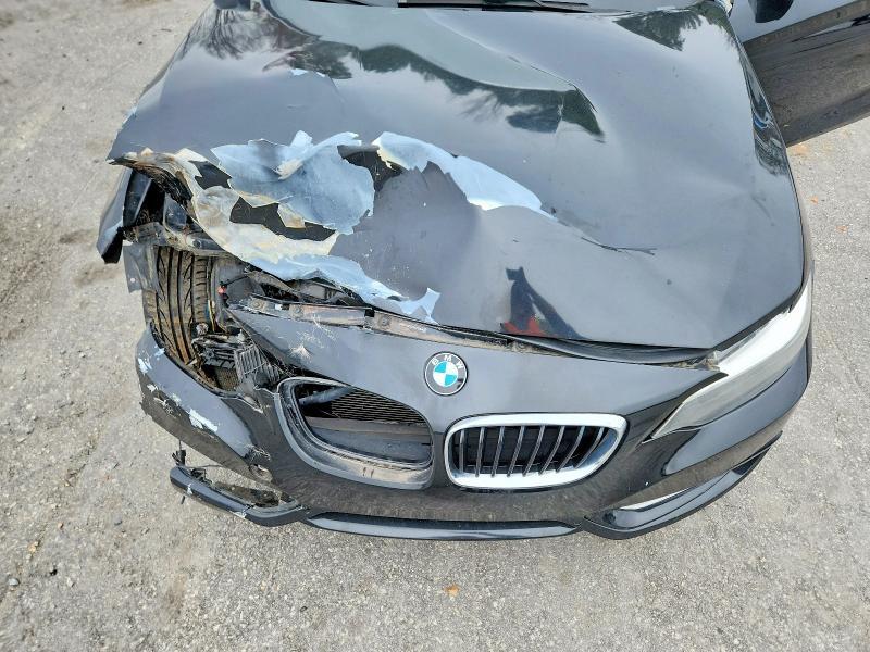 2016 BMW 228 i Sulev