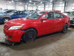 2010 Toyota Camry le V6 en venta en Ham Lake, MN