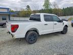 2025 Ford F150 STX