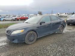 Toyt salvage cars for sale: 2010 Toyt Camry