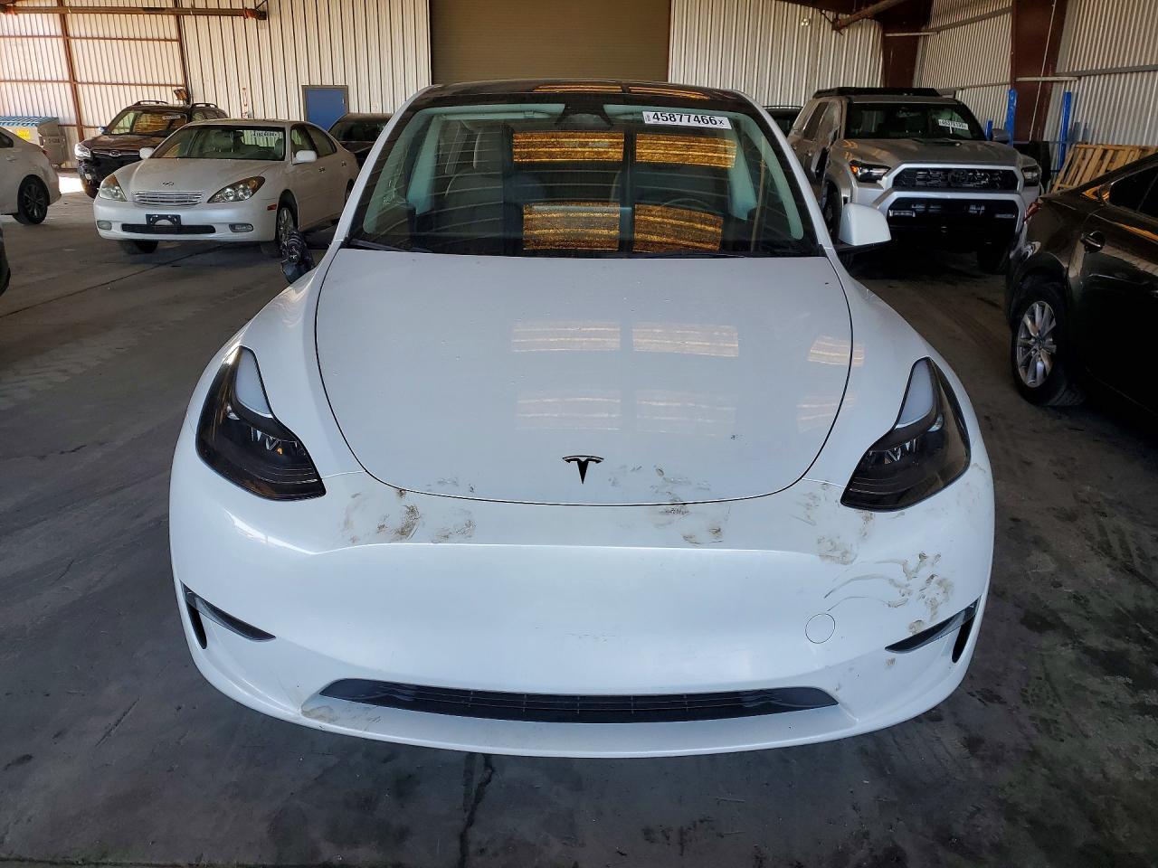 2023 Trailers Model Y