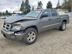 Salvage trucks for sale at Spanaway, WA auction: 2011 Dodge Dakota SLT