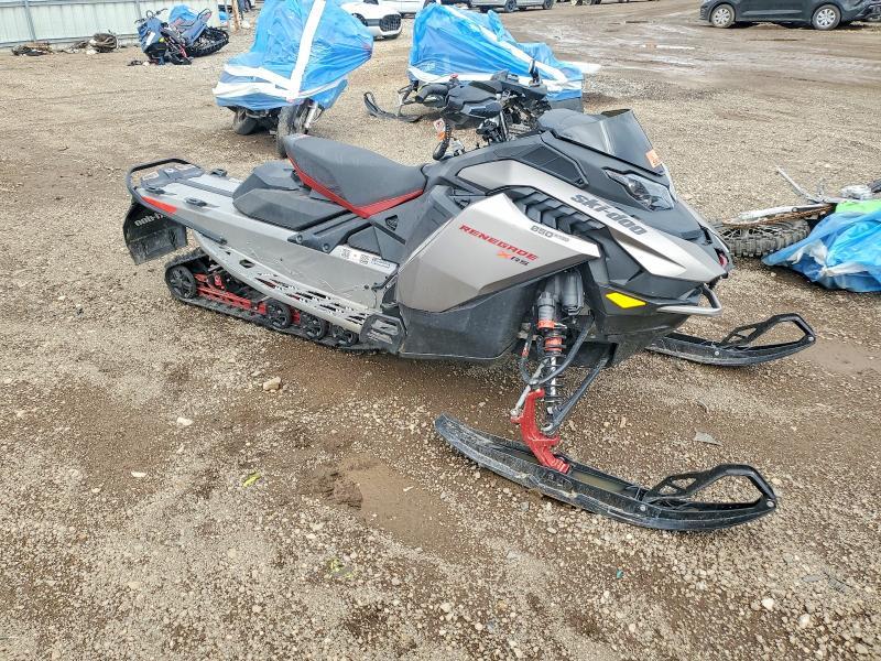 2023 Skidoo Renegade X