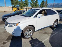 Lexus salvage cars for sale: 2010 Lexus Rx 350 Base