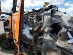 2026 Ptrb Heavy Duty Trucks