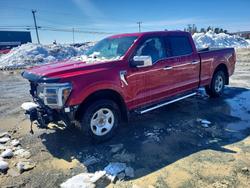 Salvage trucks for sale at Elmsdale, NS auction: 2024 Ford F150 Lariat