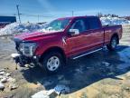 2024 Ford F150 Lariat